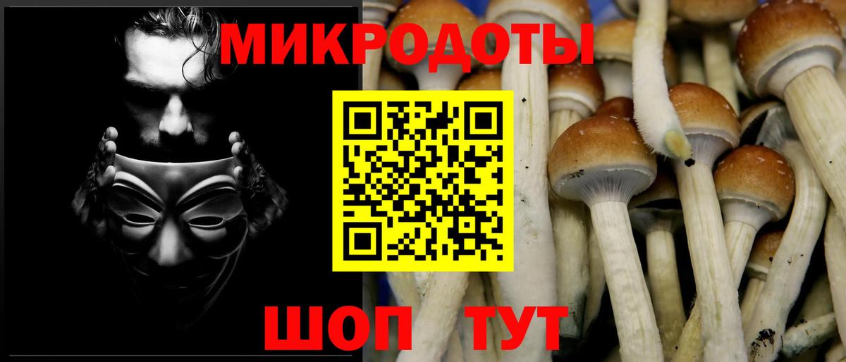 Галлюциногенные грибы MAGIC MUSHROOMS Тверь