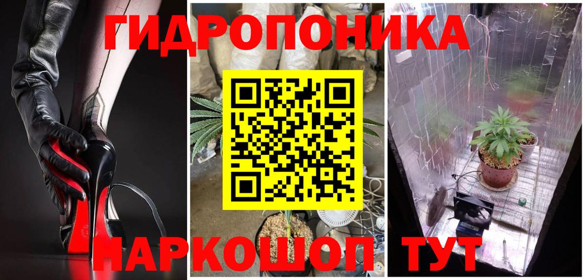 Бошки марихуана конопля Тверь